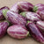 Eggplant Seeds - Listada de Gandia - Sow True Seed