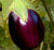 Eggplant Seeds - Black Beauty, ORGANIC - Sow True Seed