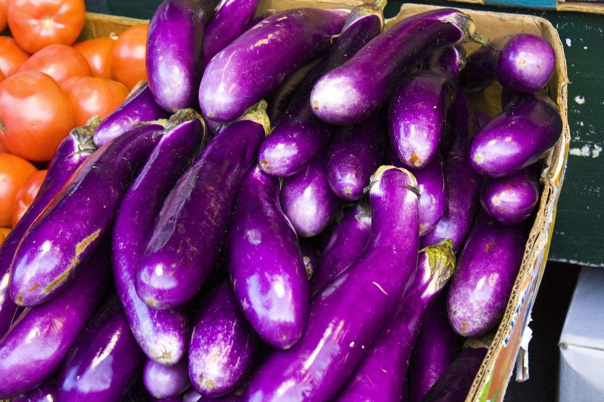 Eggplant Seeds - Long Purple - Sow True Seed