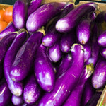 Eggplant Seeds - Long Purple - Sow True Seed