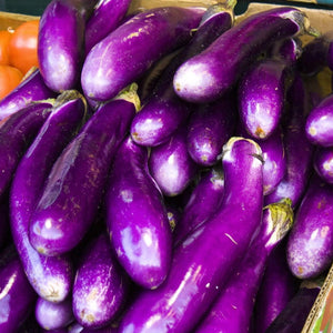 Siren Short - Eggplant Purple curated on LTK