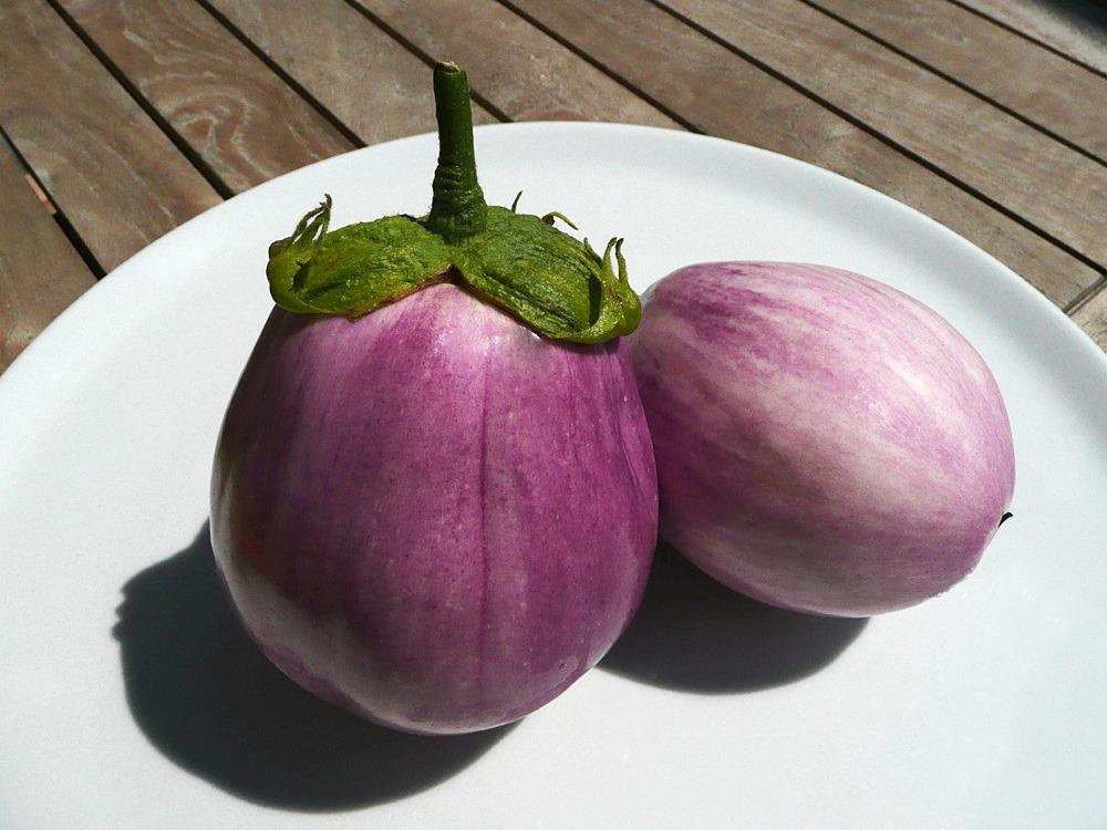 Eggplant Seeds - Rosa Bianca, ORGANIC - Sow True Seed