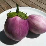 Eggplant Seeds - Rosa Bianca, ORGANIC - Sow True Seed