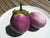 Eggplant Seeds - Rosa Bianca, ORGANIC - Sow True Seed