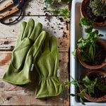 Classic Work Gloves - Sow True Seed
