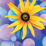 Rudbeckia Seeds - Black-Eyed Susan - Sow True Seed