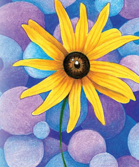 Rudbeckia Seeds - Black-Eyed Susan - Sow True Seed