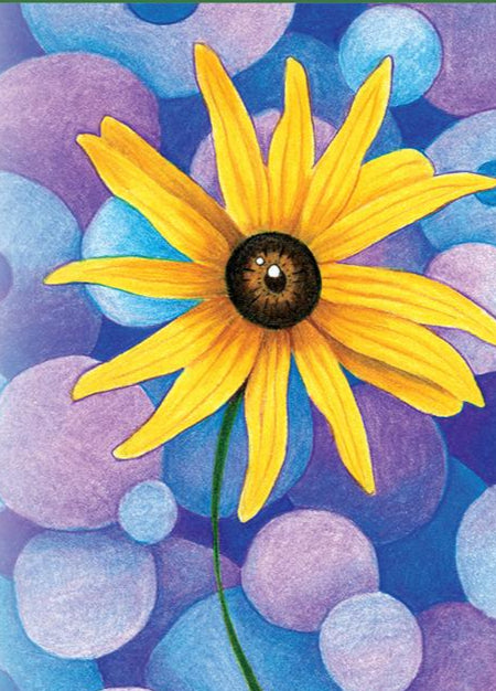 Rudbeckia Seeds - Black-Eyed Susan - Sow True Seed