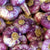 Hardneck Garlic - Bavarian Purple - Sow True Seed