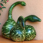 Gourd Seeds - Speckled Swan - Sow True Seed