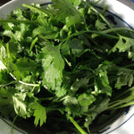 Cilantro Seed, ORGANIC - Sow True Seed