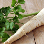 Parsley Seed, Hamburg Rooted - Sow True Seed
