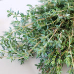 Thyme Seed - English, ORGANIC - Sow True Seed