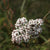 White Yarrow Seeds | Sow True Seed | Open-Pollinated 
