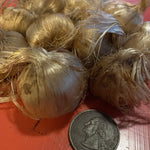 Saffron Crocus Bulbs - Sow True Seed
