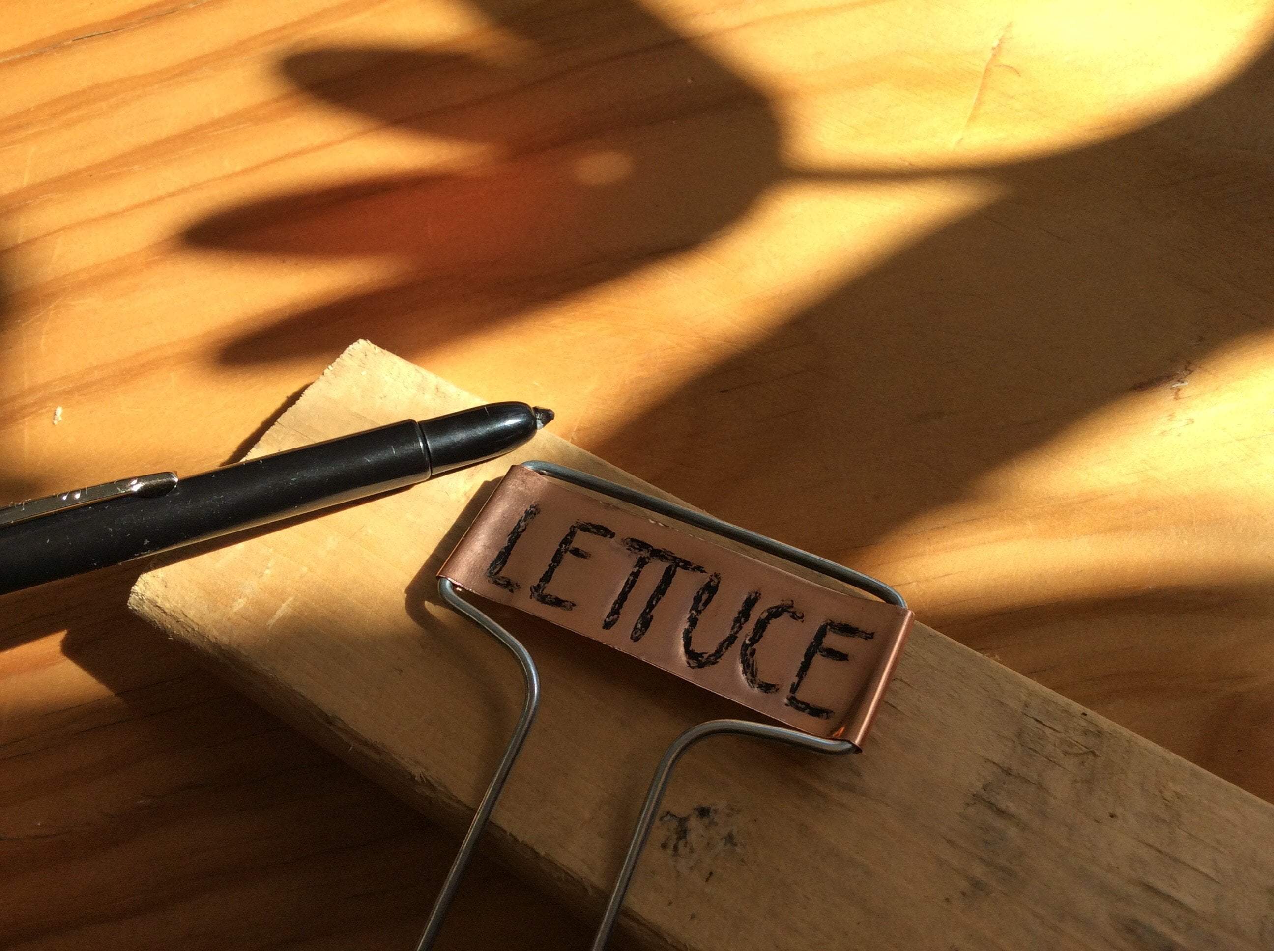 Marking Pencil - Sow True Seed