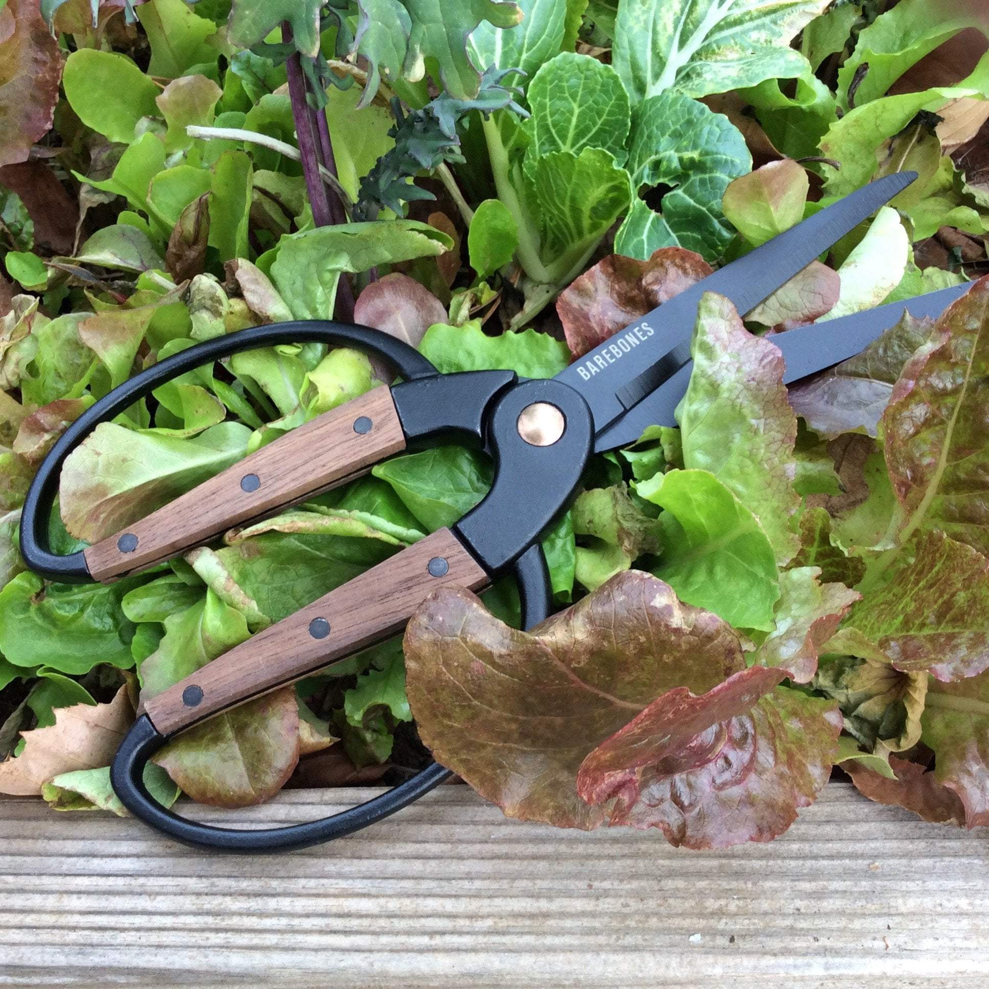 walnut garden scissors Barebones Garden Scissors Large