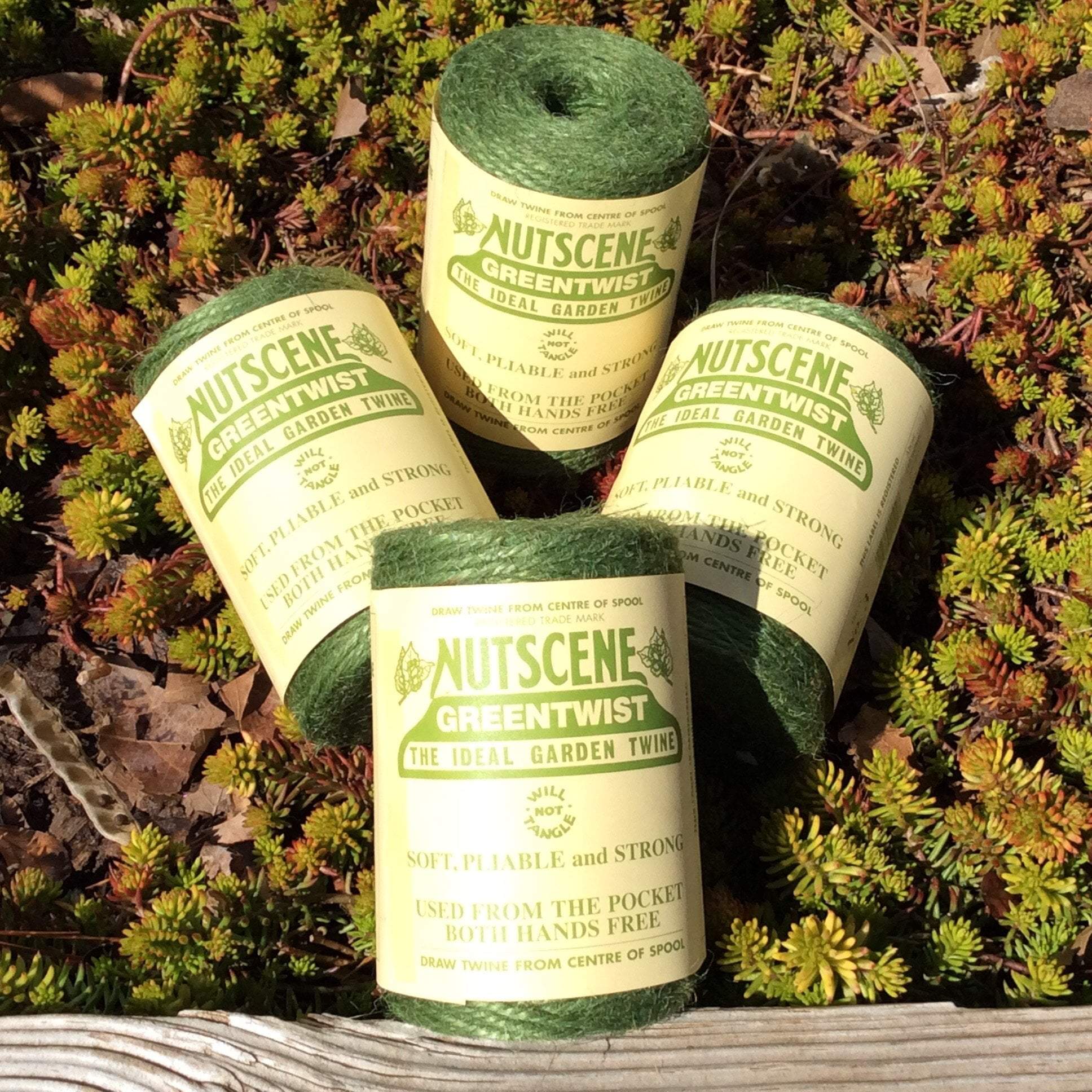 Nutscene Garden Twine - Sow True Seed