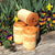 Nutscene Garden Twine - Sow True Seed