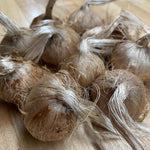 Saffron Crocus Bulbs - Sow True Seed