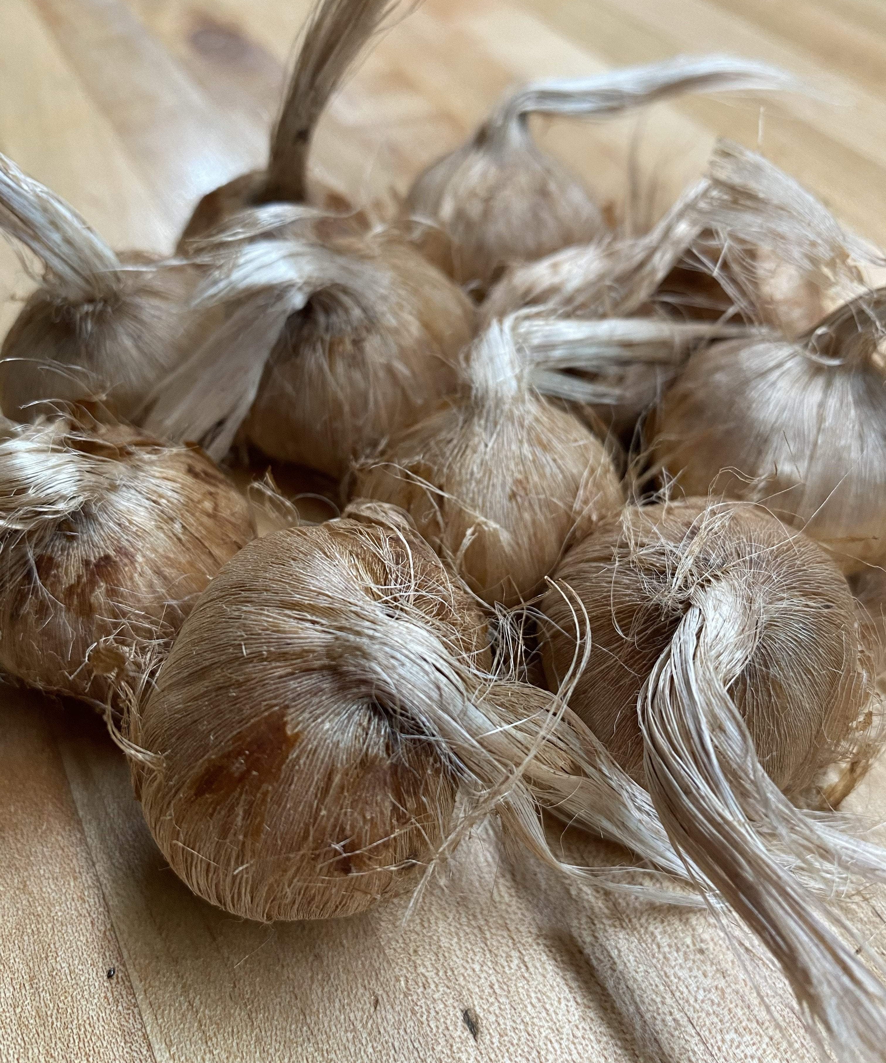 Saffron Crocus Bulbs - Sow True Seed