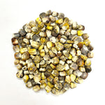 Flint Corn Seeds - Jaguar Priest - Sow True Seed