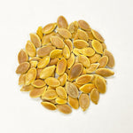 Pumpkin Seeds - Mammoth Gold - Sow True Seed