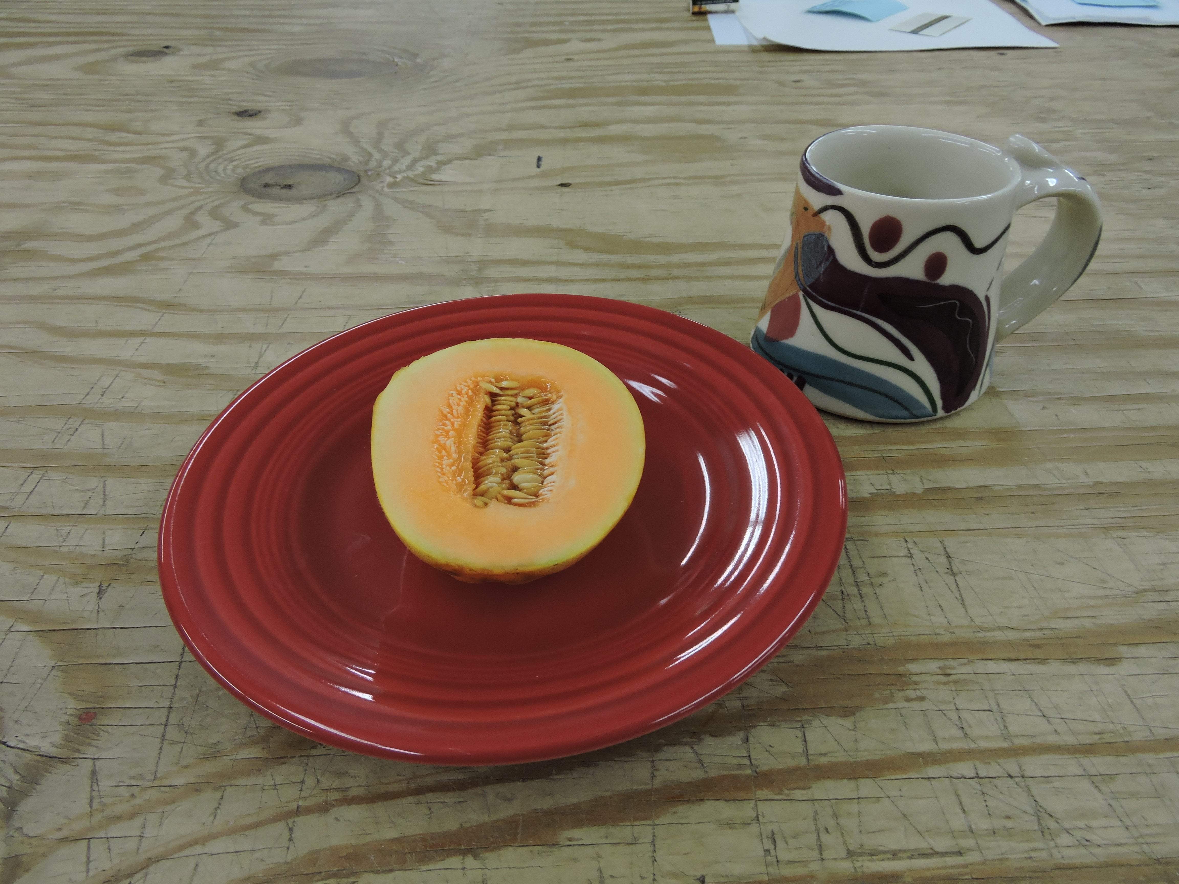 Melon Seeds - Minnesota Midget - Sow True Seed