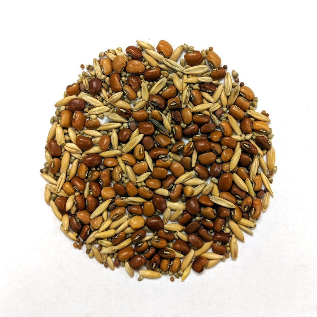 Cover Crop - Fall Cover Mix - Sow True Seed