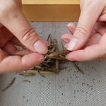 Molokhia Seeds - ORGANIC - Sow True Seed