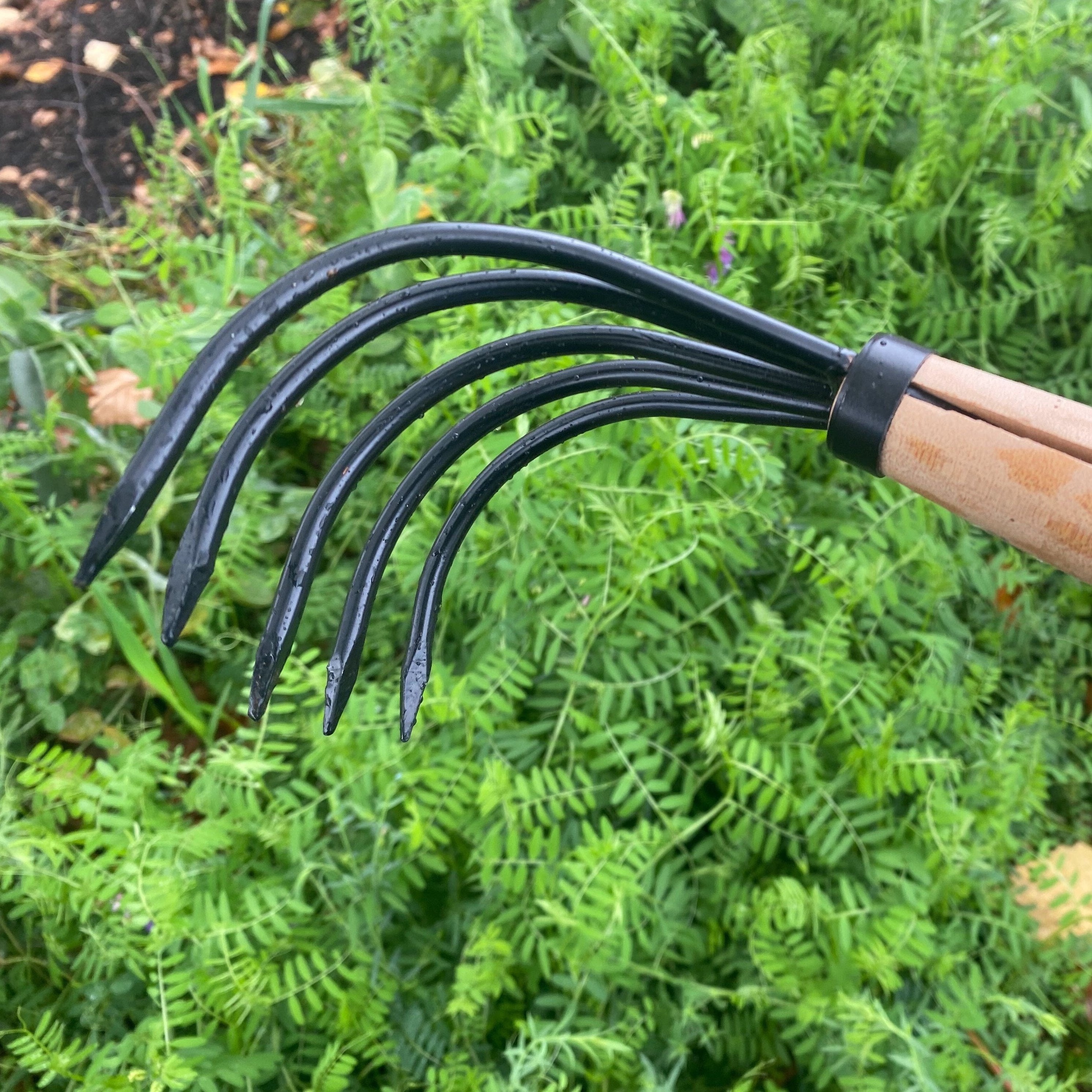 Japanese Ninja Claw Rake and Cultivator | Sow True Seed