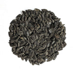 Cover Crop - Oilseed Sunflower - Sow True Seed