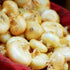 Onion Seeds - Cipollini Yellow