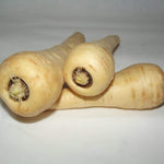Parsnip - Hollow Crown - Sow True Seed