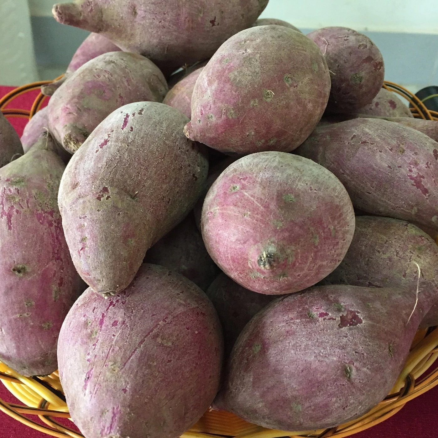 Sweet Potato - Murasaki, ORGANIC - Sow True Seed