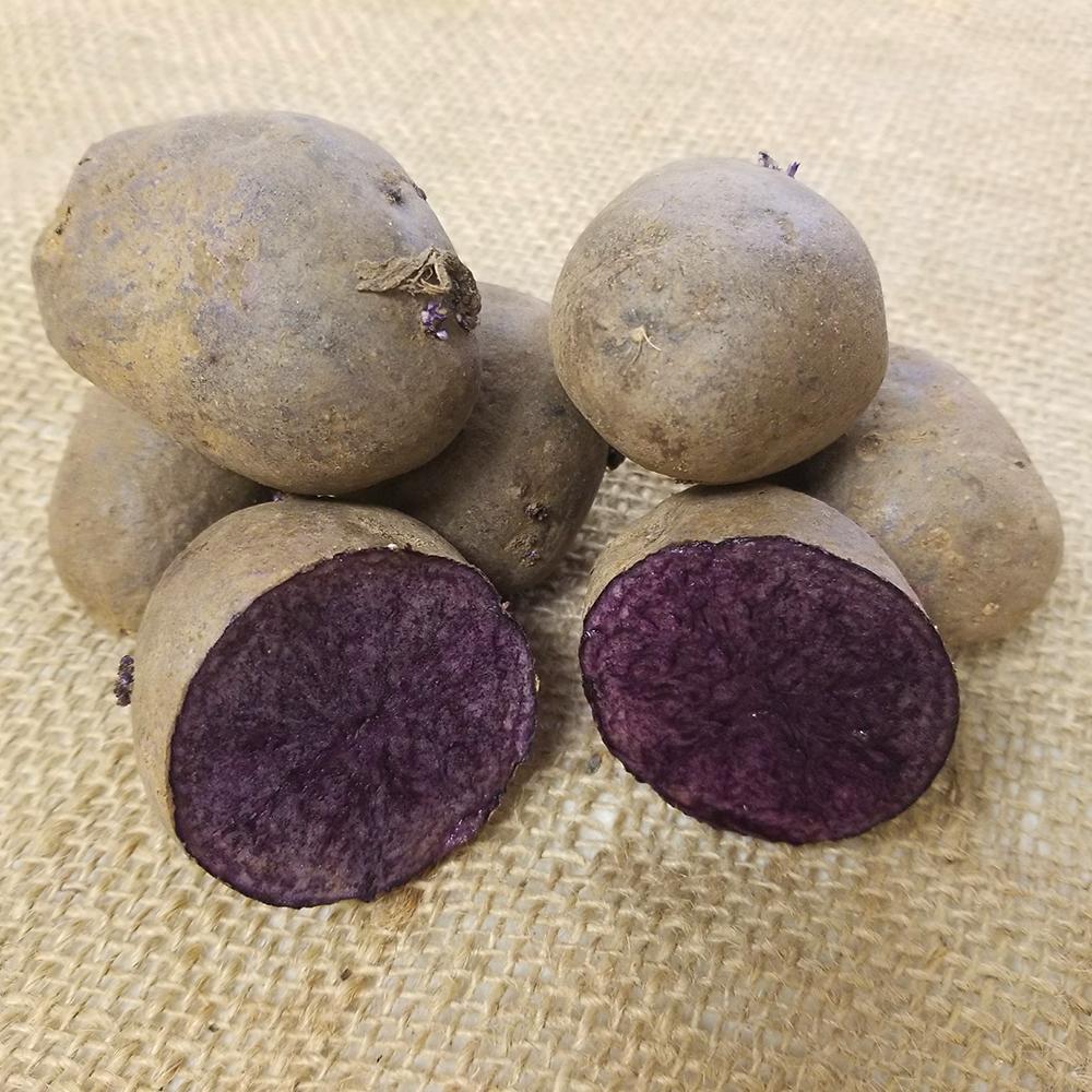 Potato, Purple Majesty