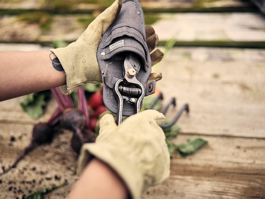 Pruner with Sheath - Sow True Seed