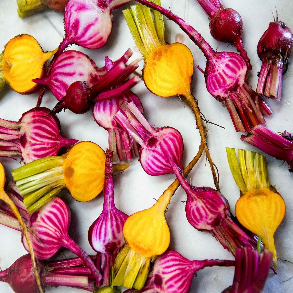 Beet Seeds - Rainbow Blend - Sow True Seed