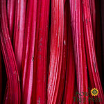 Rhubarb - Crimson Red,  CROWN - Sow True Seed