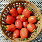 Paste Tomato Seeds - Roma - Sow True Seed