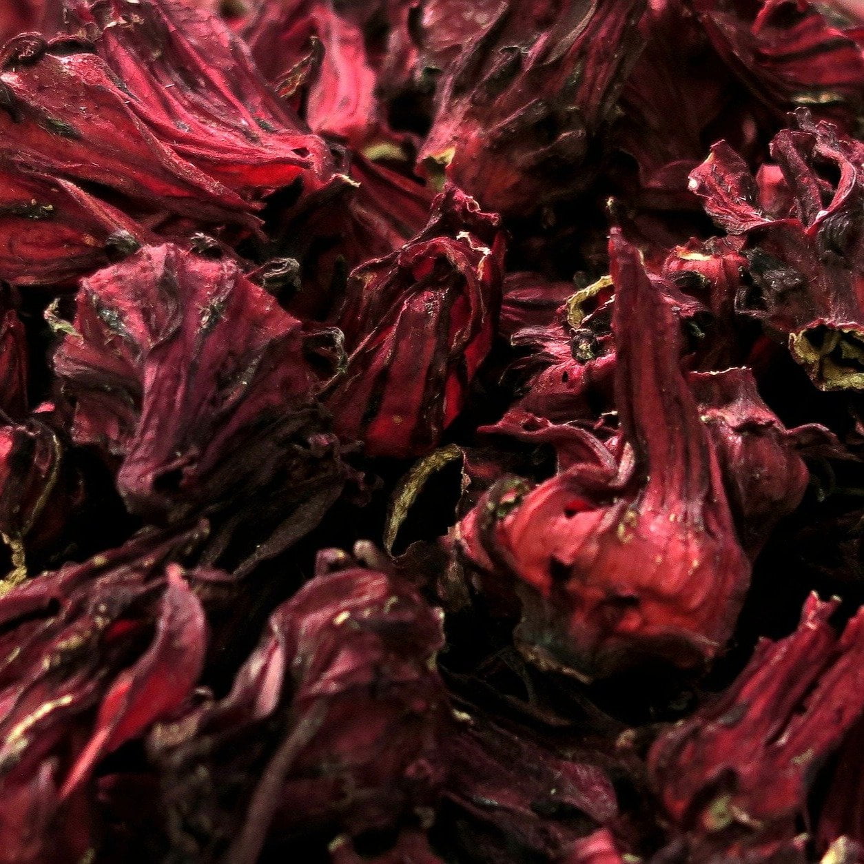 Thai Red Roselle Seed - Sow True Seed