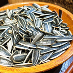 Sunflower Seeds - Mongolian Giant - ORGANIC - Sow True Seed