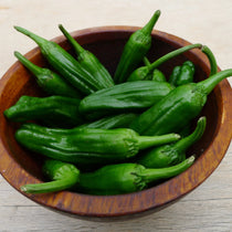 Sweet Pepper Seeds - Shishito - Sow True Seed