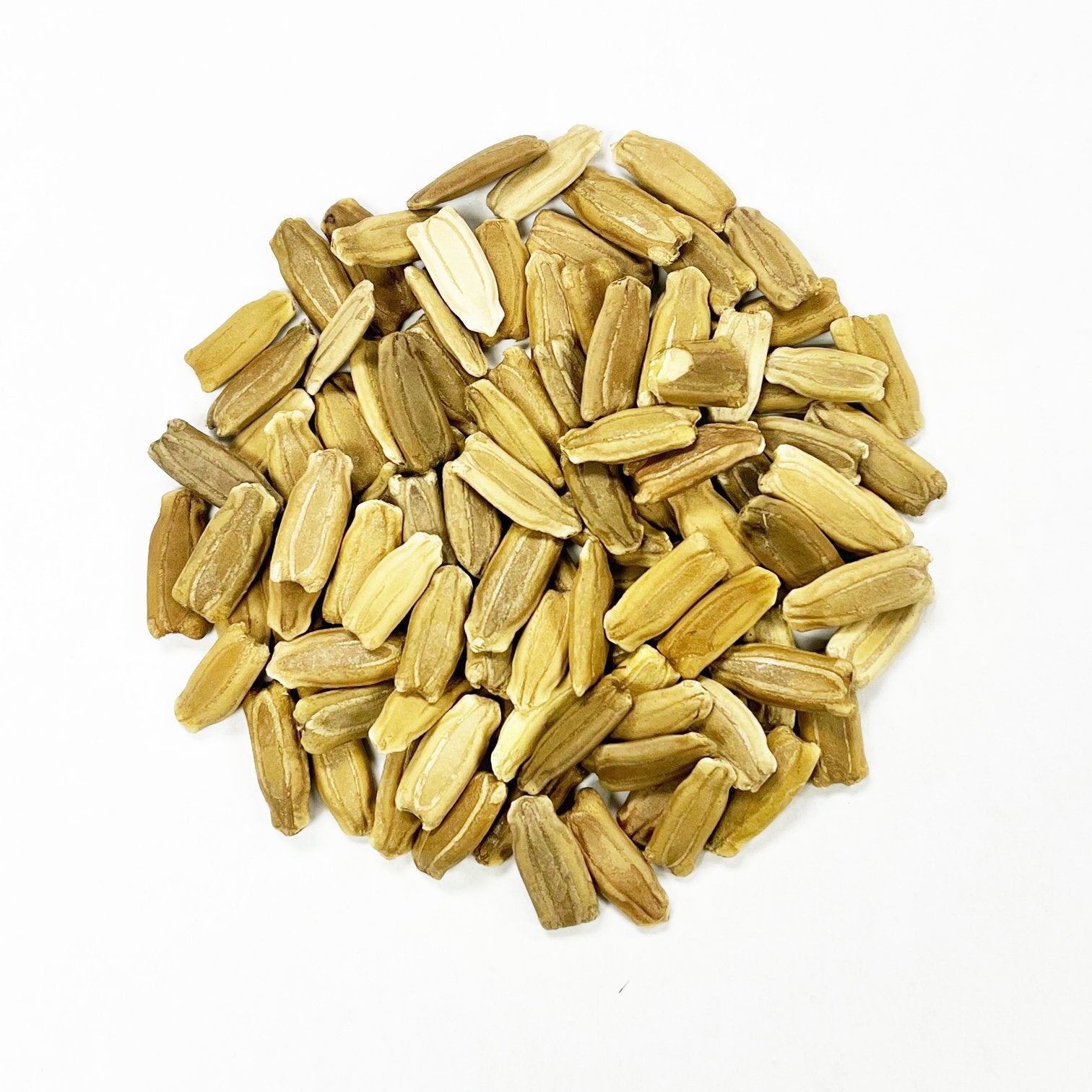 Gourd Seeds - Speckled Swan - Sow True Seed