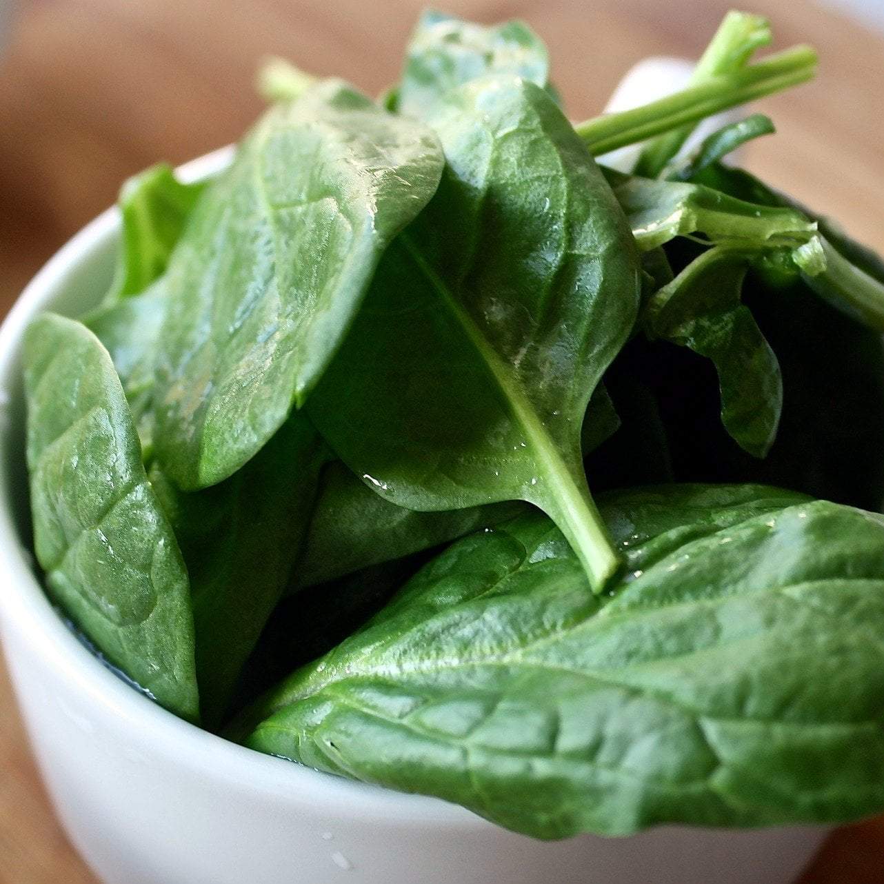 Spinach - Noble Giant - Sow True Seed