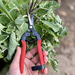 Straight Gardening Shear - Sow True Seed