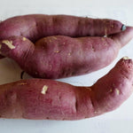 Sweet Potato - Murasaki, ORGANIC - Sow True Seed