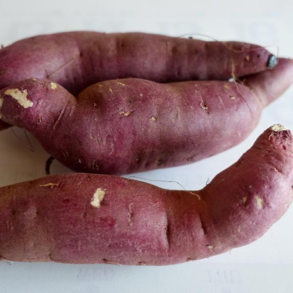 Sweet Potato - Murasaki, ORGANIC - Sow True Seed