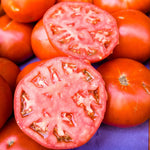 Slicing Tomato Seeds - Kewalo - Sow True Seed