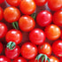 Cherry Tomato Seeds - Matt's Wild Cherry, ORGANIC